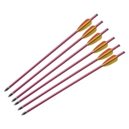 Kit 6 Flechas Man Kung 20 Polegadas em Alumínio para Balestra 180 Libras Kit 6 Flechas Man Kung 20 Polegadas em Alumínio para Balestra 180 Libras